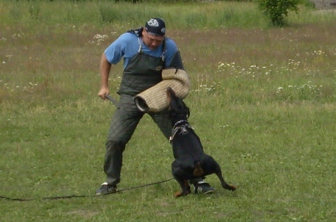 Training in Estonia 6/2007